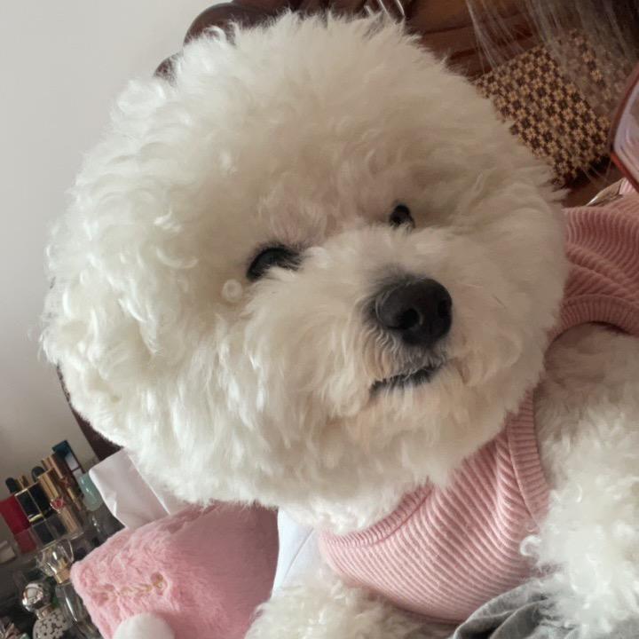 番茄麻麻