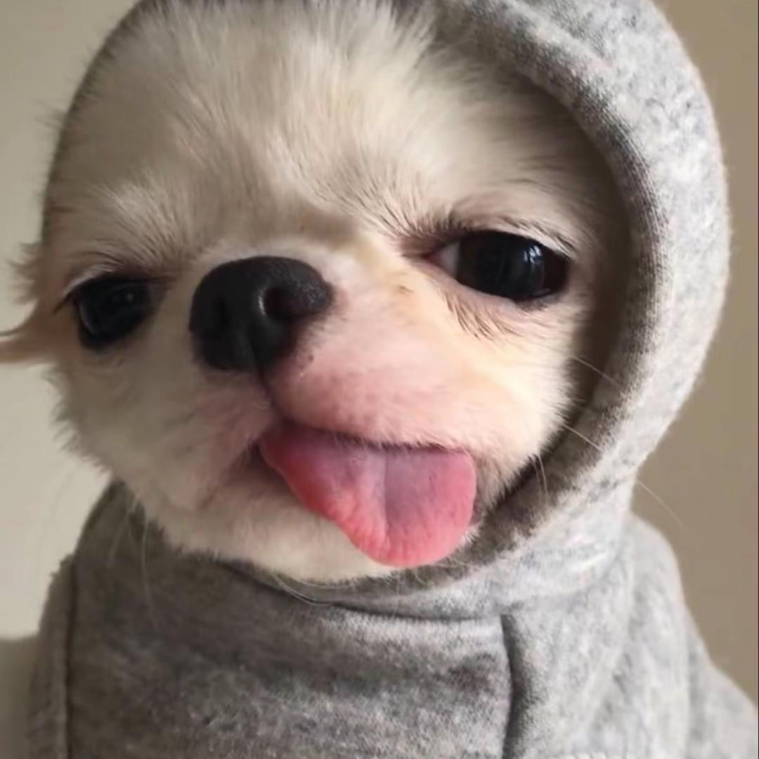🥸