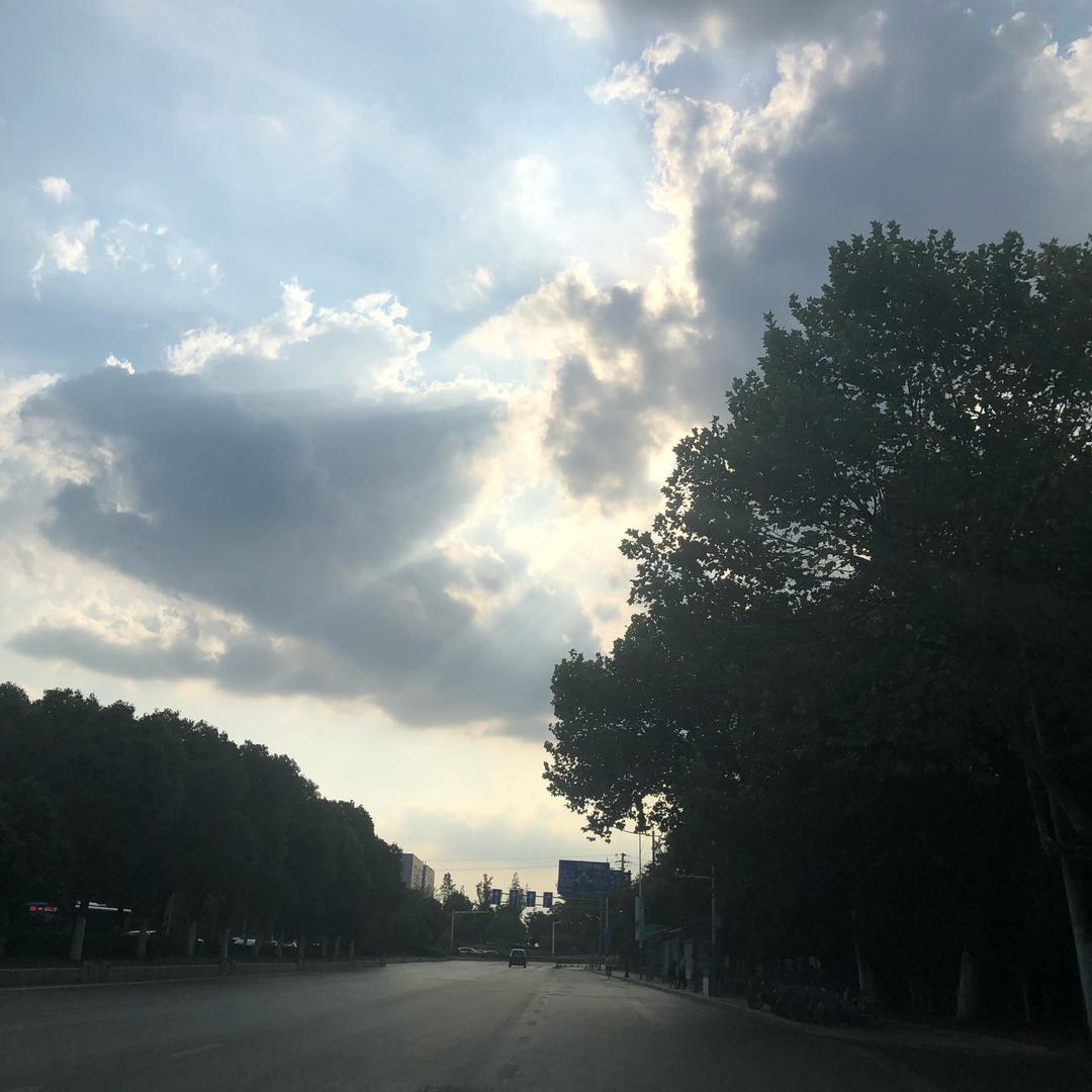 鲨鱼