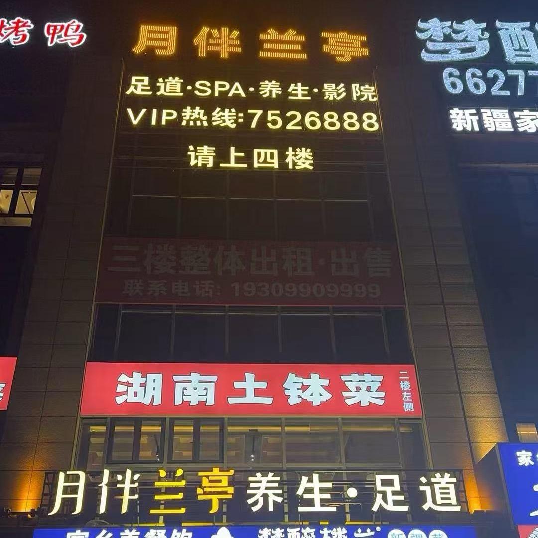 月伴兰亭
