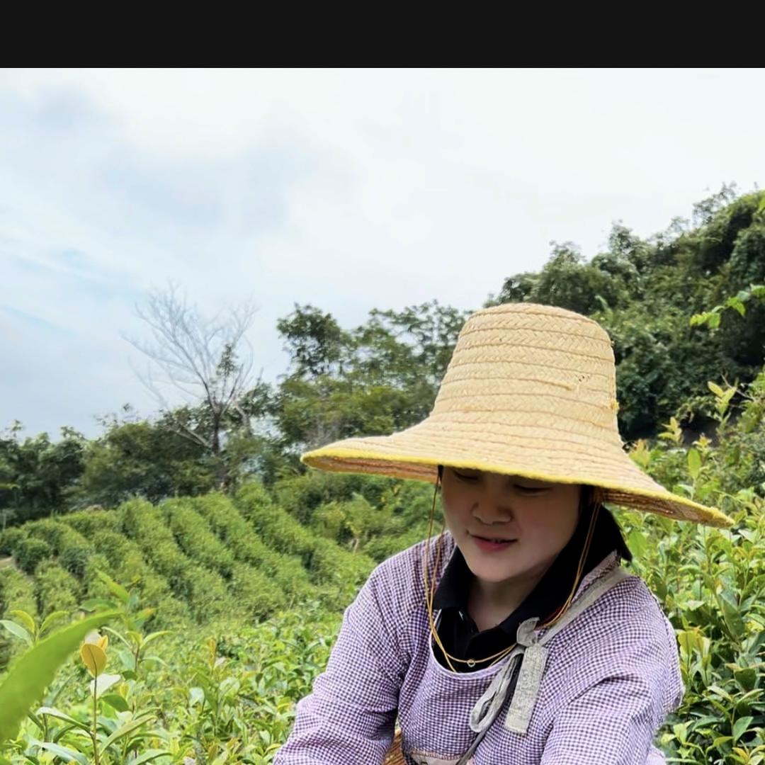 信阳毛尖 （豫善德）