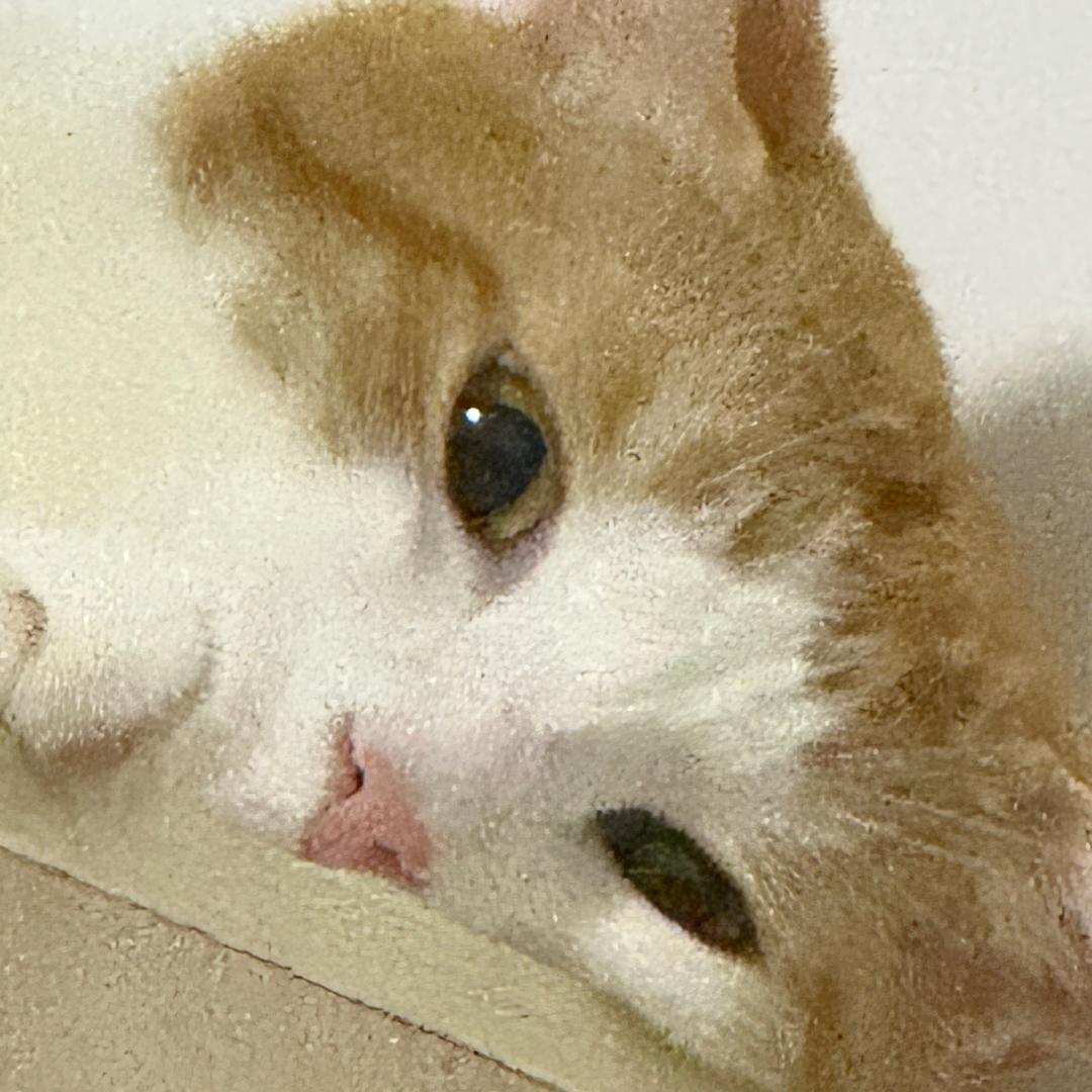 爽爽清货