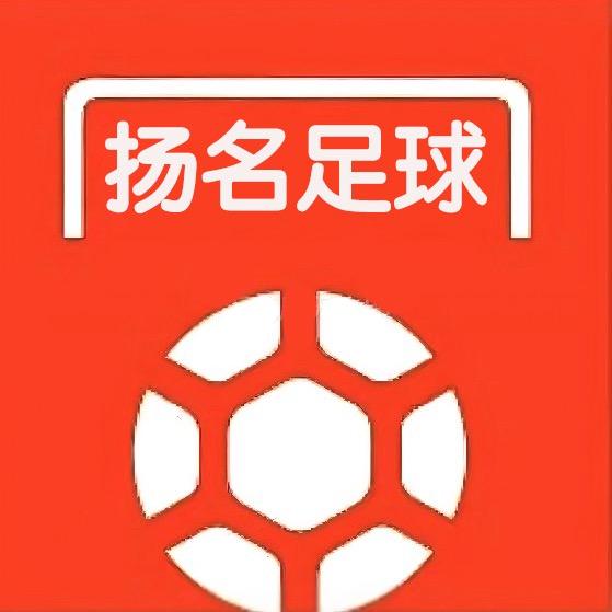扬名足球