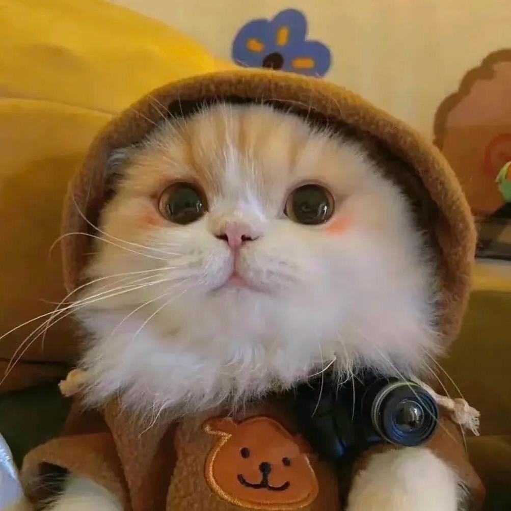 怀旧