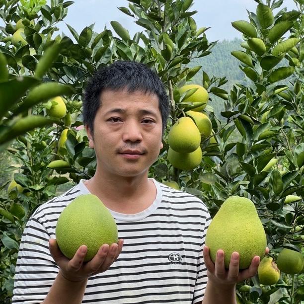 张明沅陵山货土特产