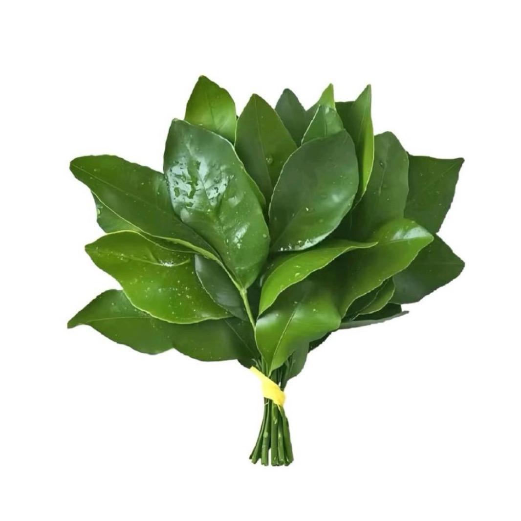 初相遇