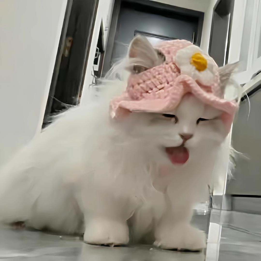 夹子喵小咪