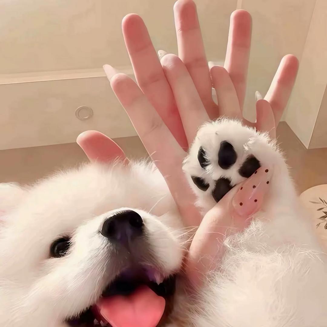 雾.