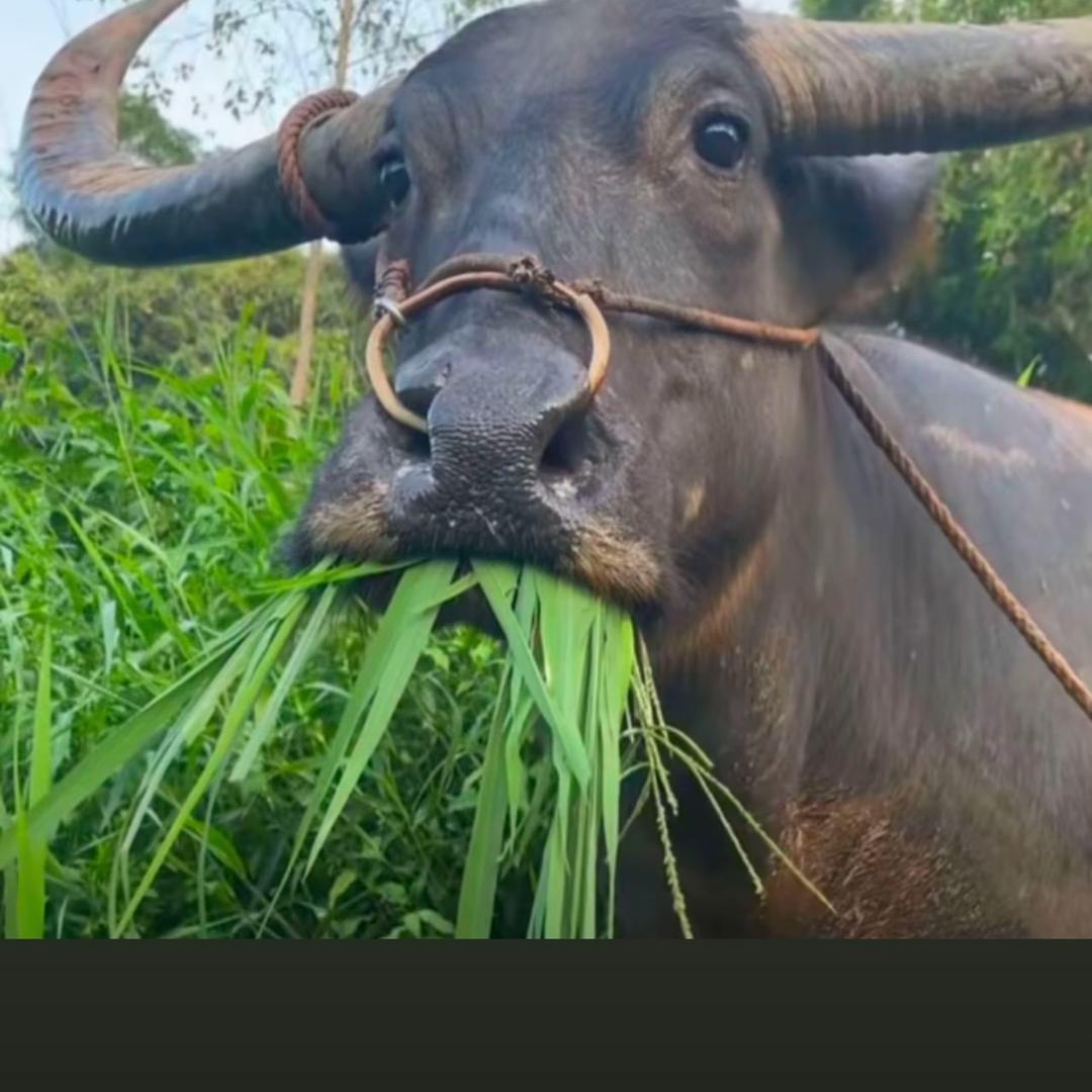 好好活着
