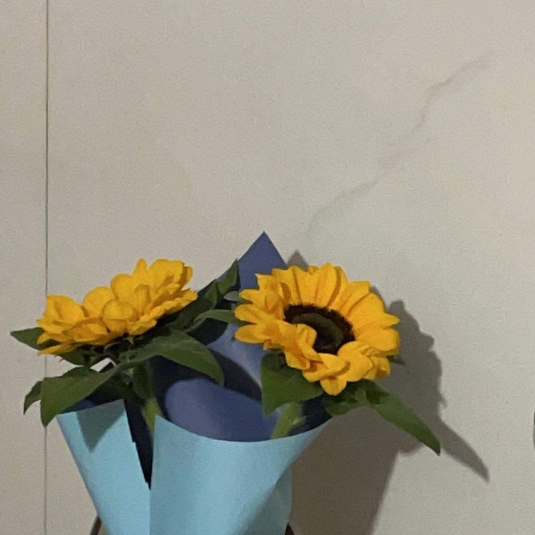 大静 碳锅鱼烧烤🔥