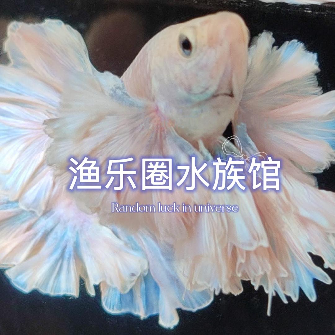 渔乐圈泰斗水族馆