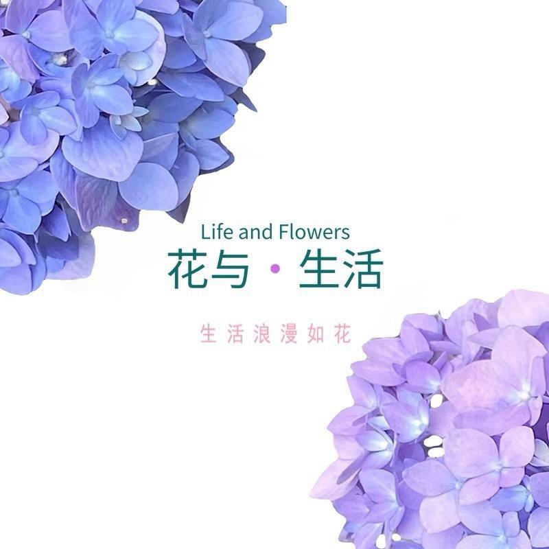 花与生活-年销花大花蕙兰专场
