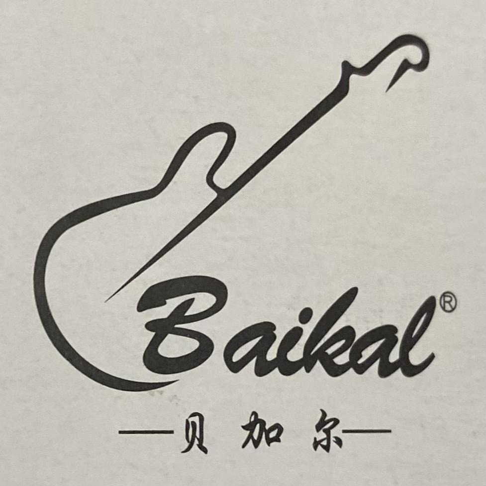 贵州贝加尔乐器专营店