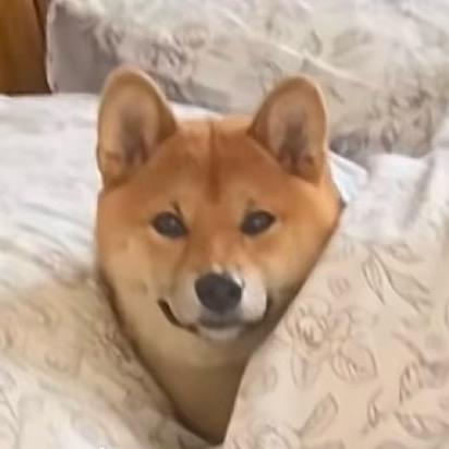 小陈来了