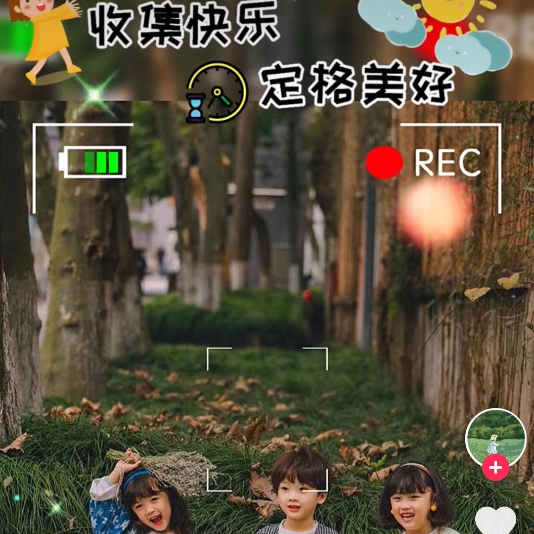 小虫宝
