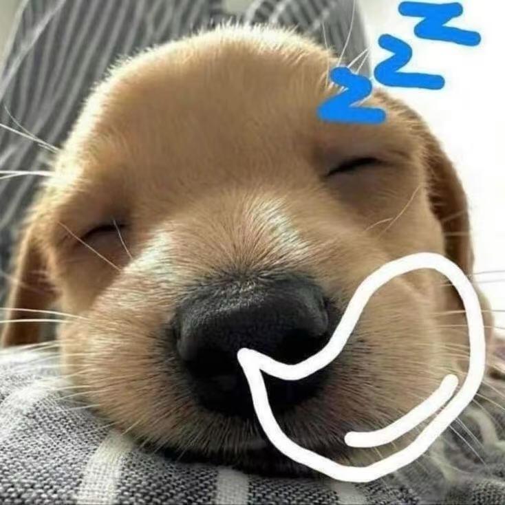 今天不下雨r