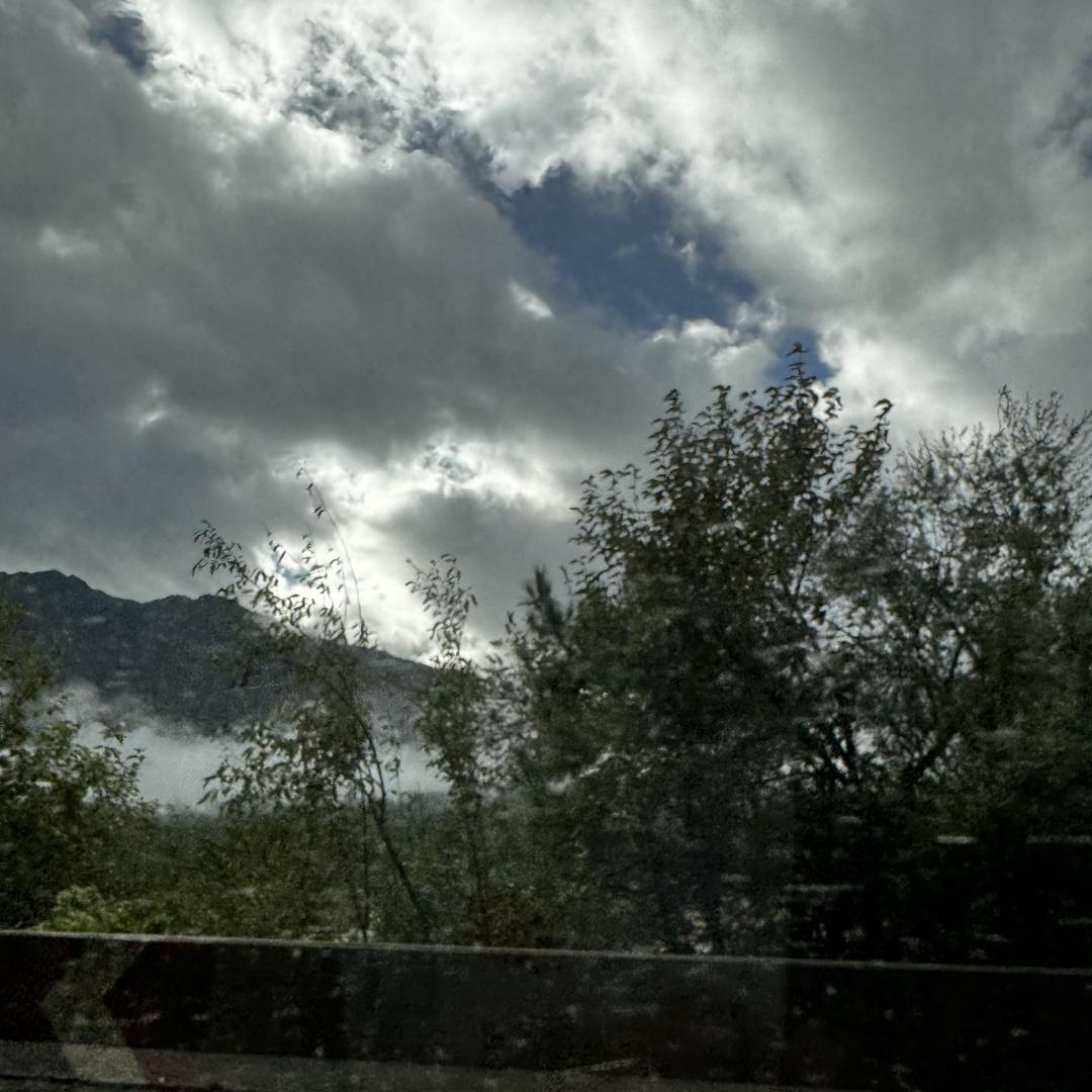 -唯一@@@@@鑫鼎轩(干霄凌云）