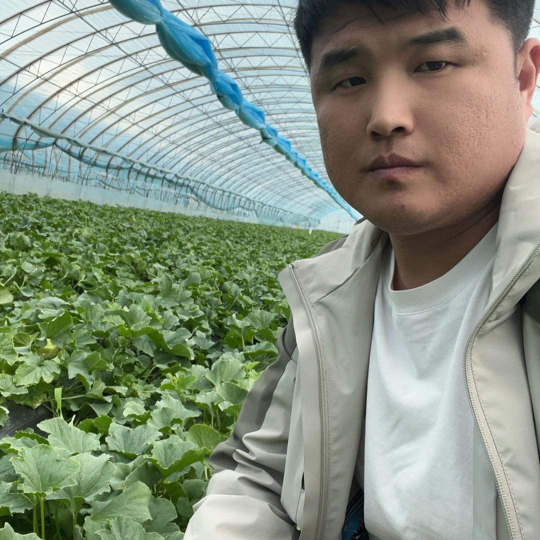 恰好食品供应链