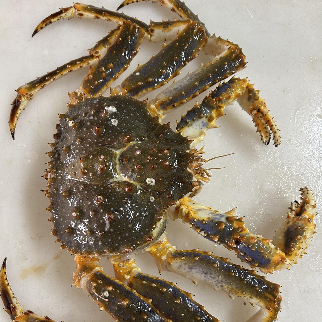 枫哥生鲜供应