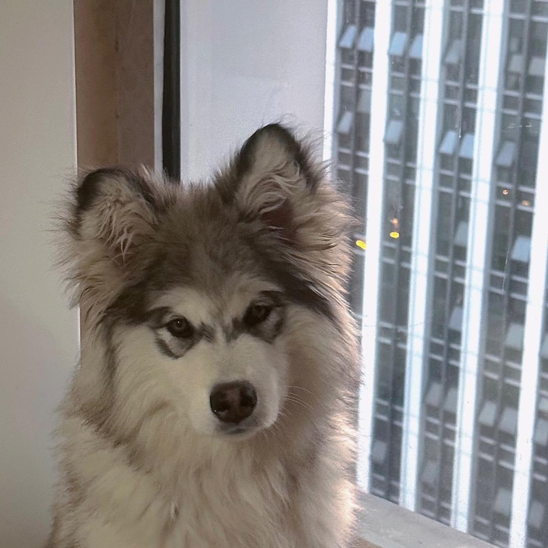 都说了我是变态别理我