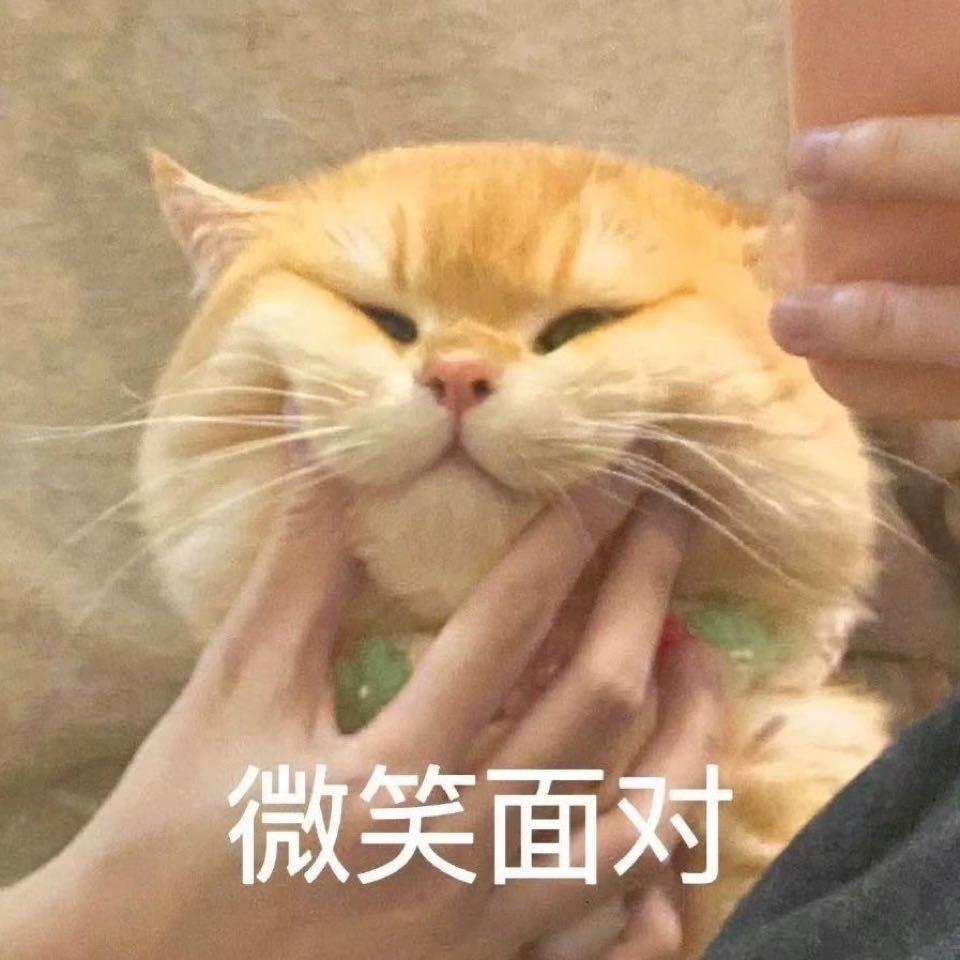 929