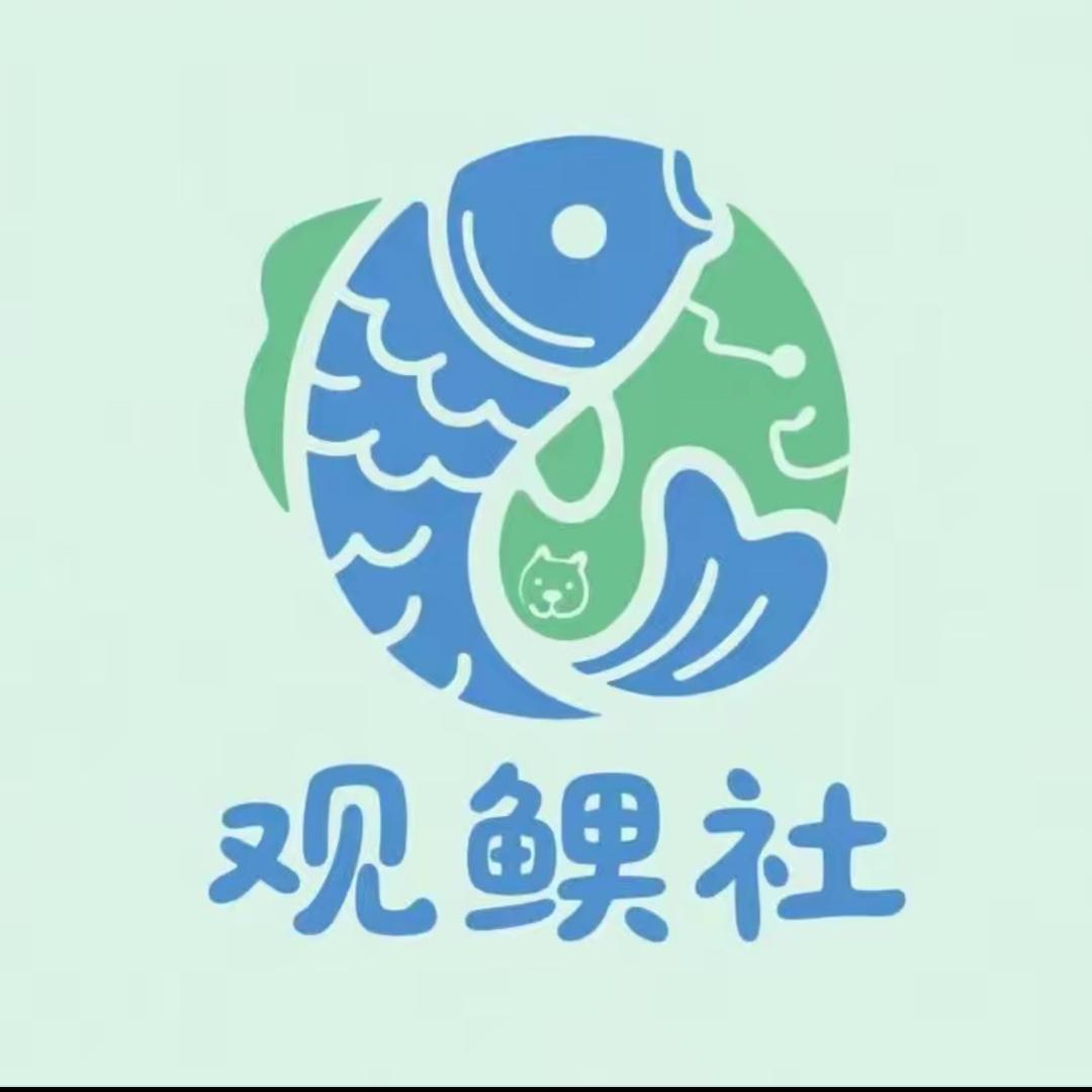 观鲤社
