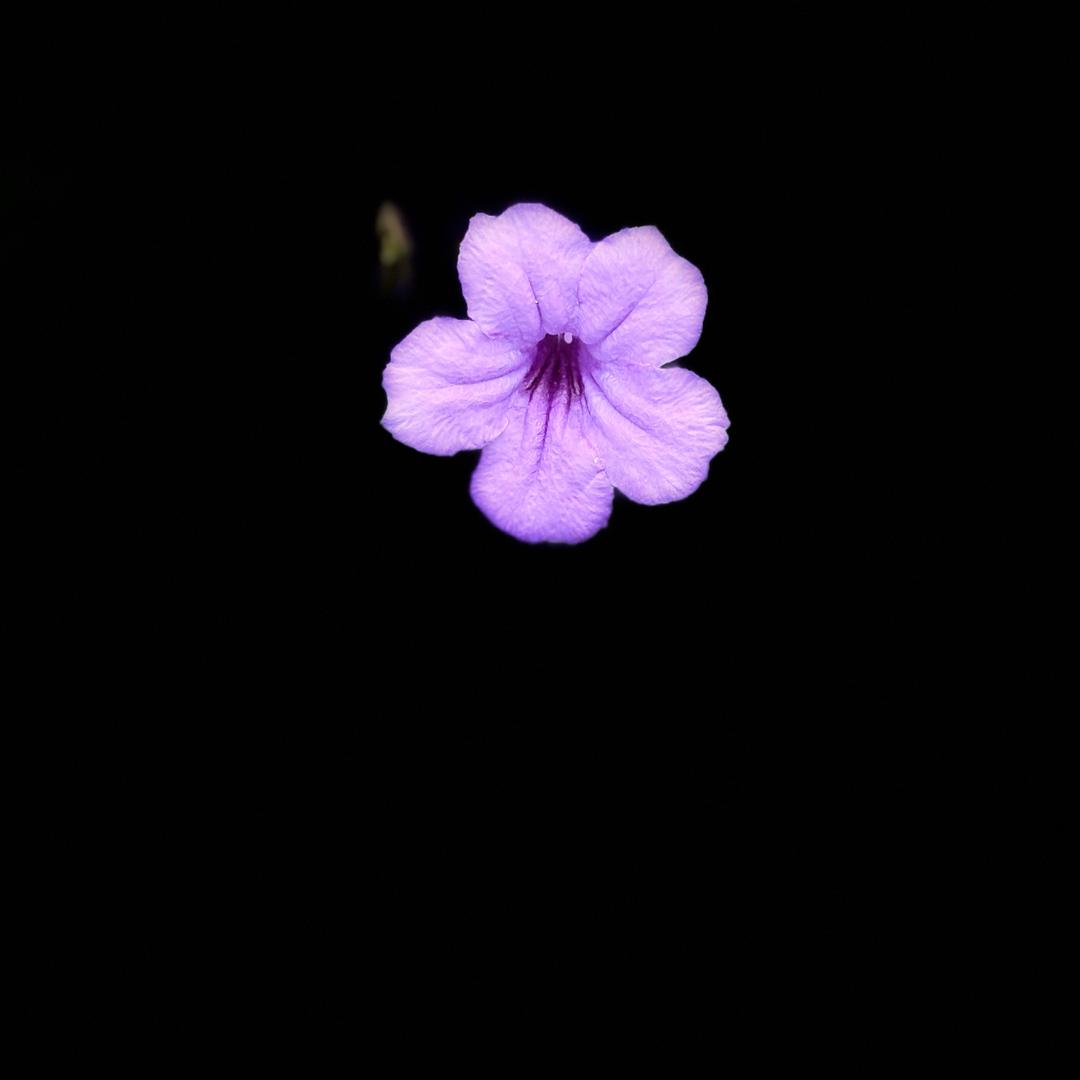 ai人物