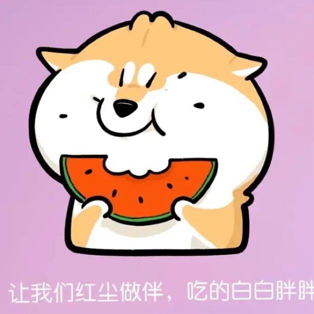 金小爷