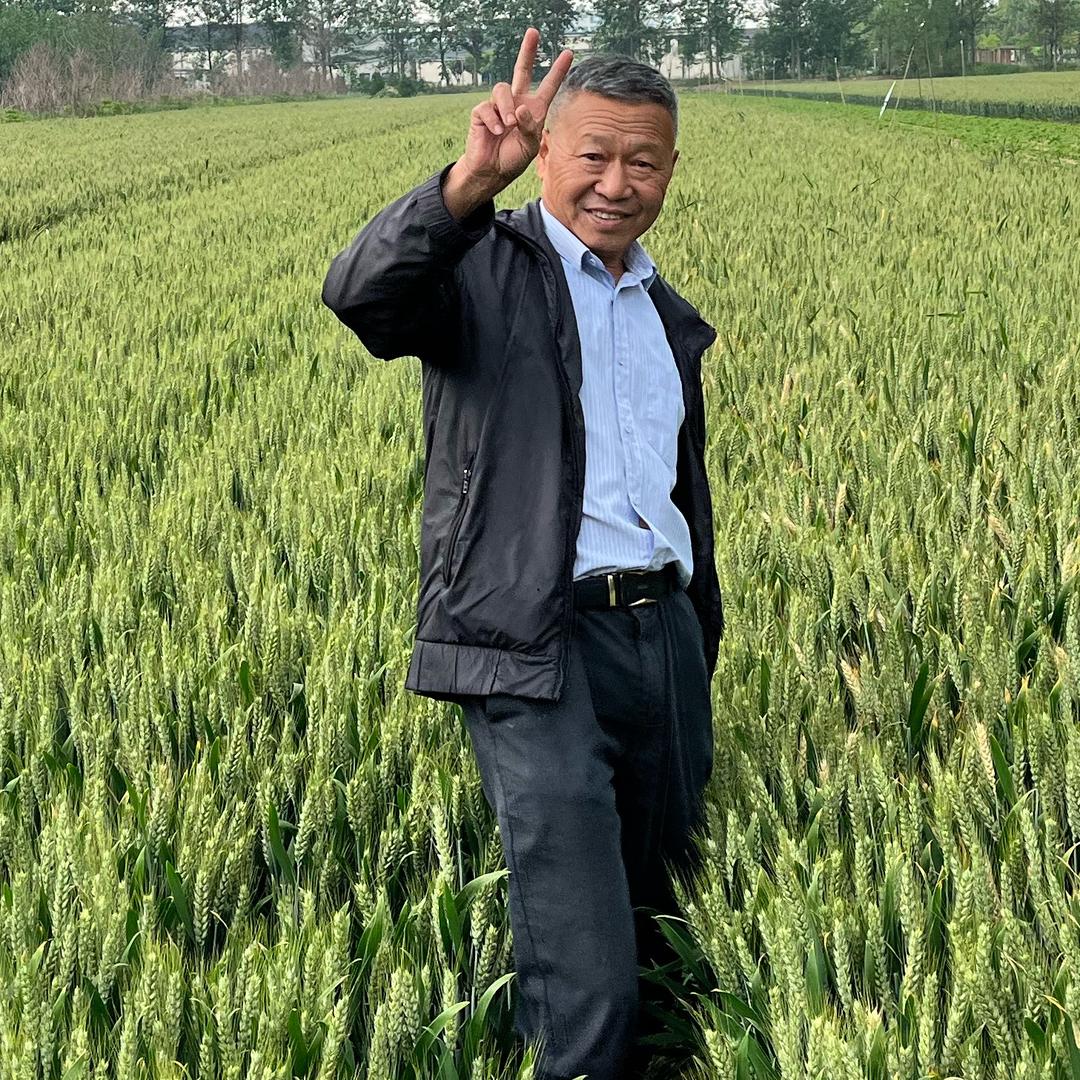 席霸霸