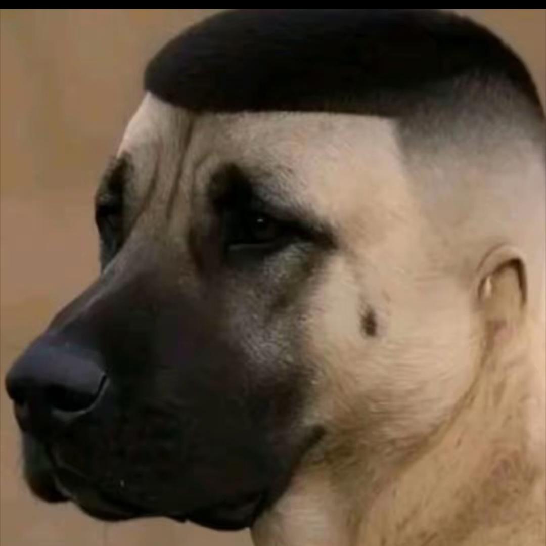 茶如人生