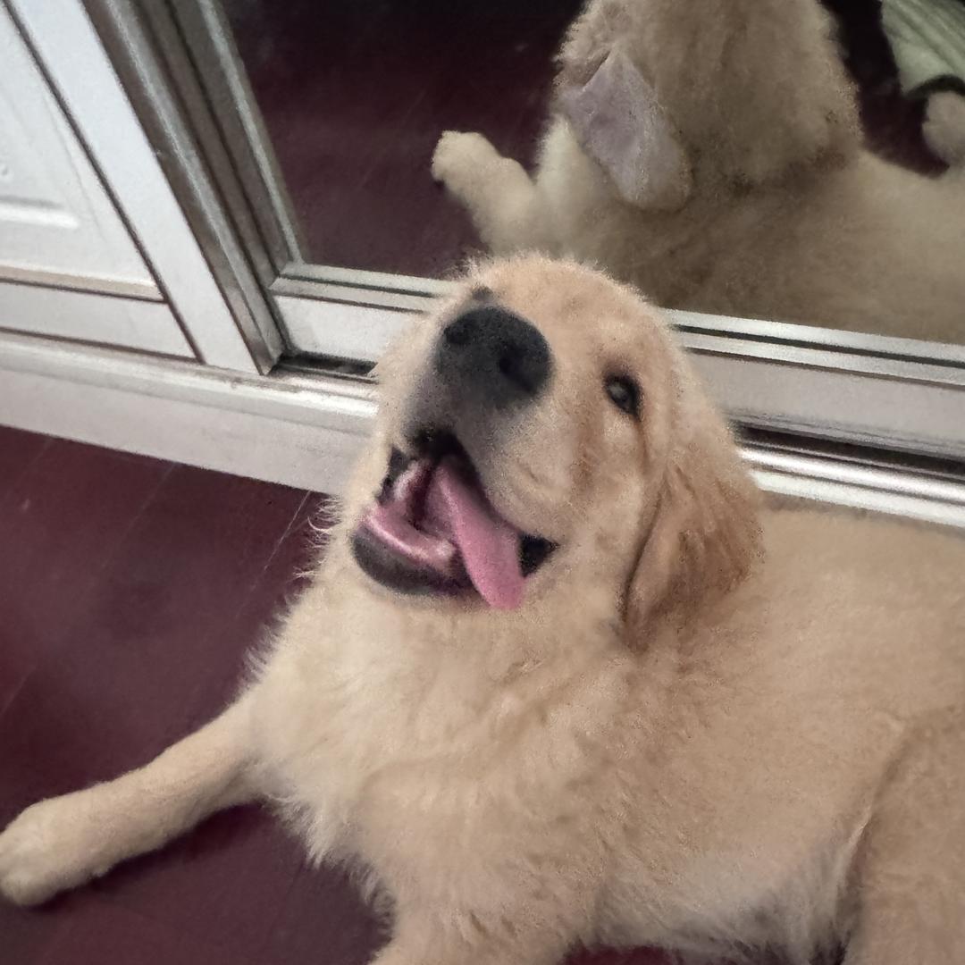 邓前盱眙金筷美味小铺