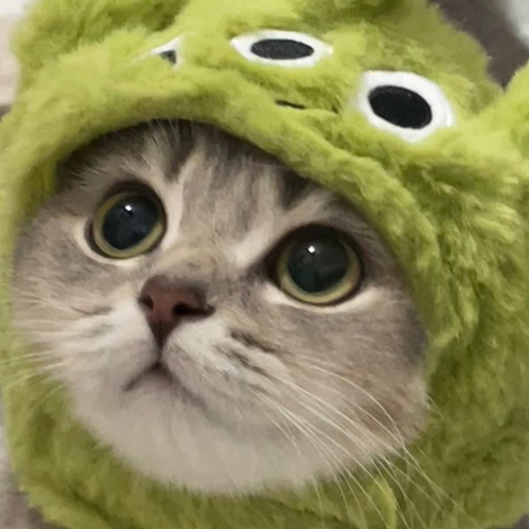 哪儿拿
