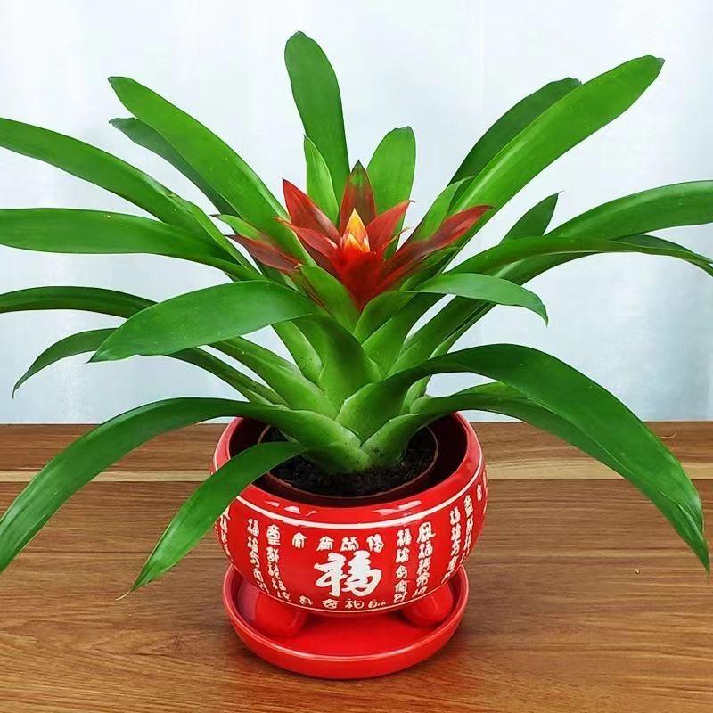 百花园鲜花店1