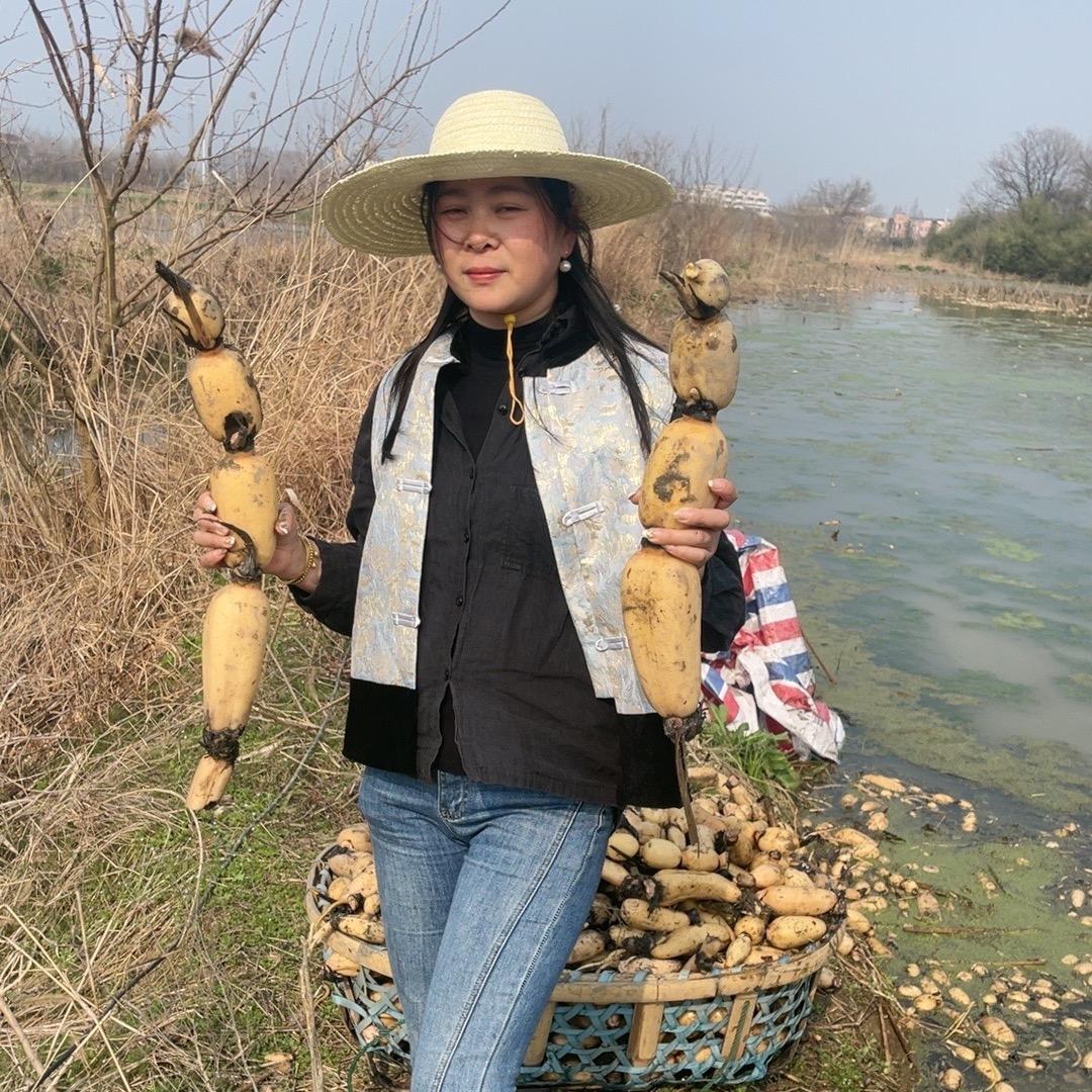 藕粉小姐姐（农产品）