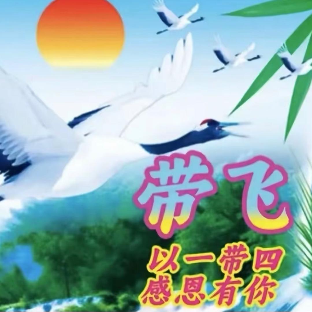 善良的农村入