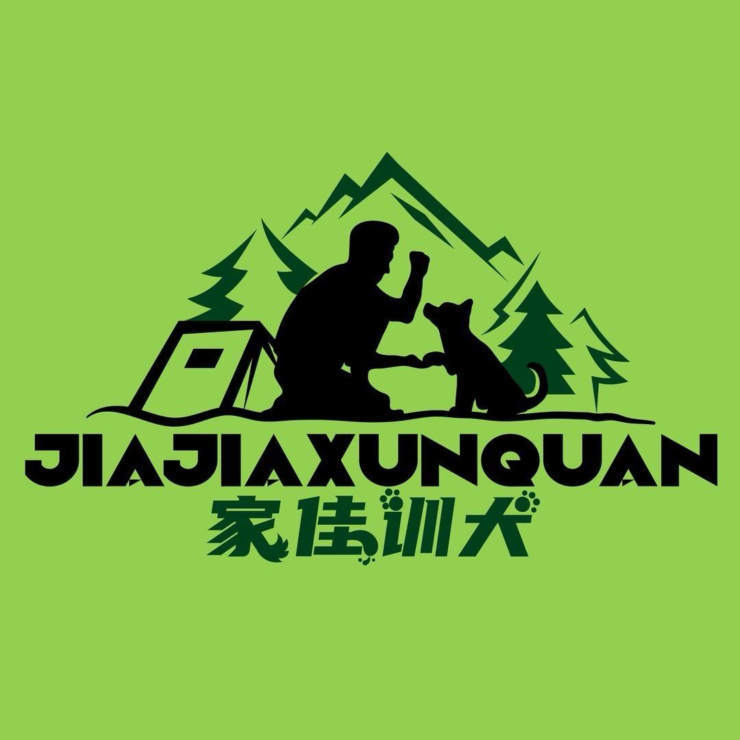 乌鲁木齐家佳训犬