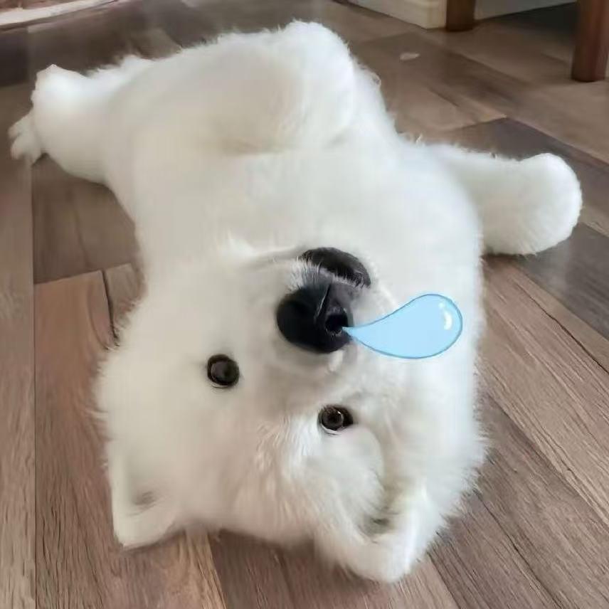 xw