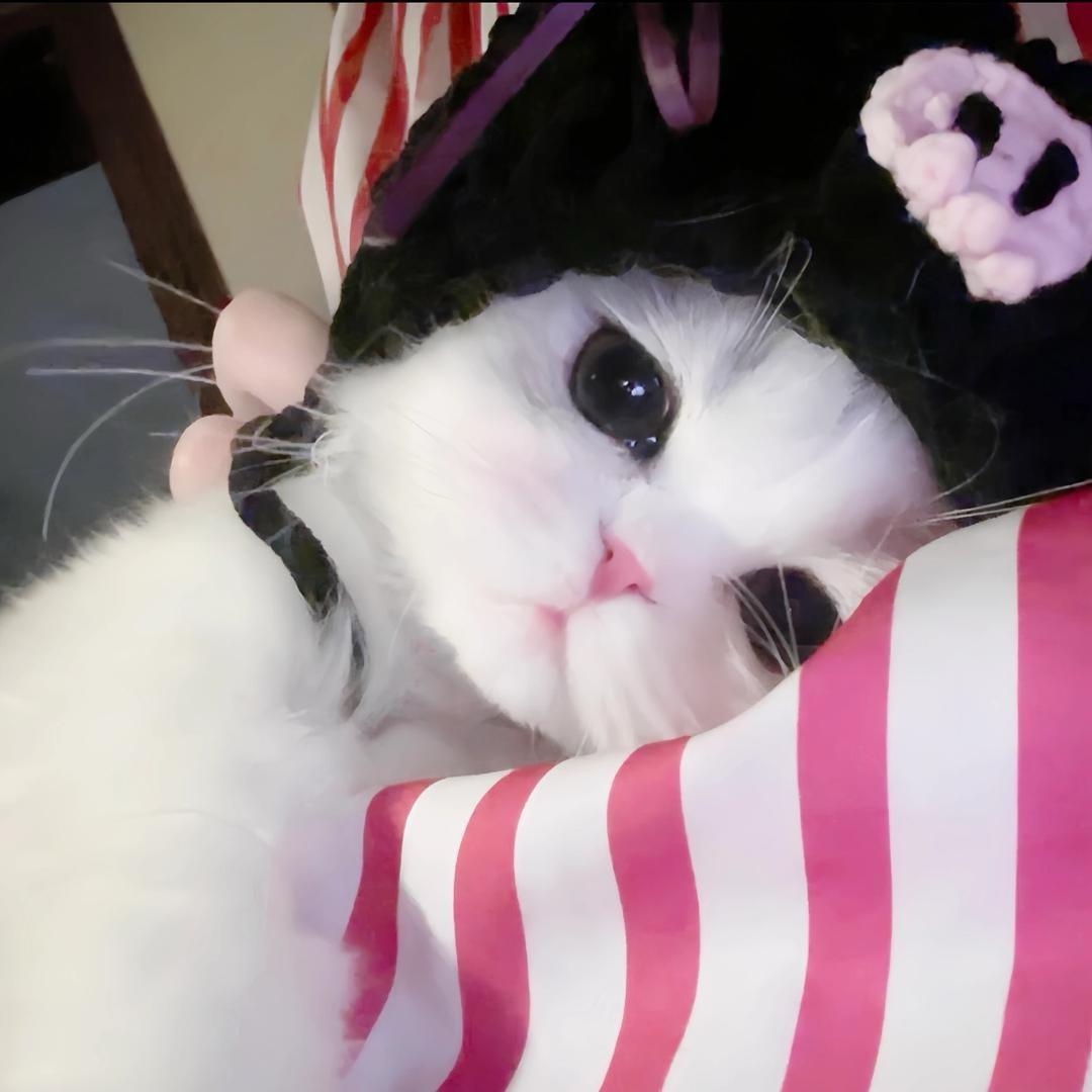 味豪宠@