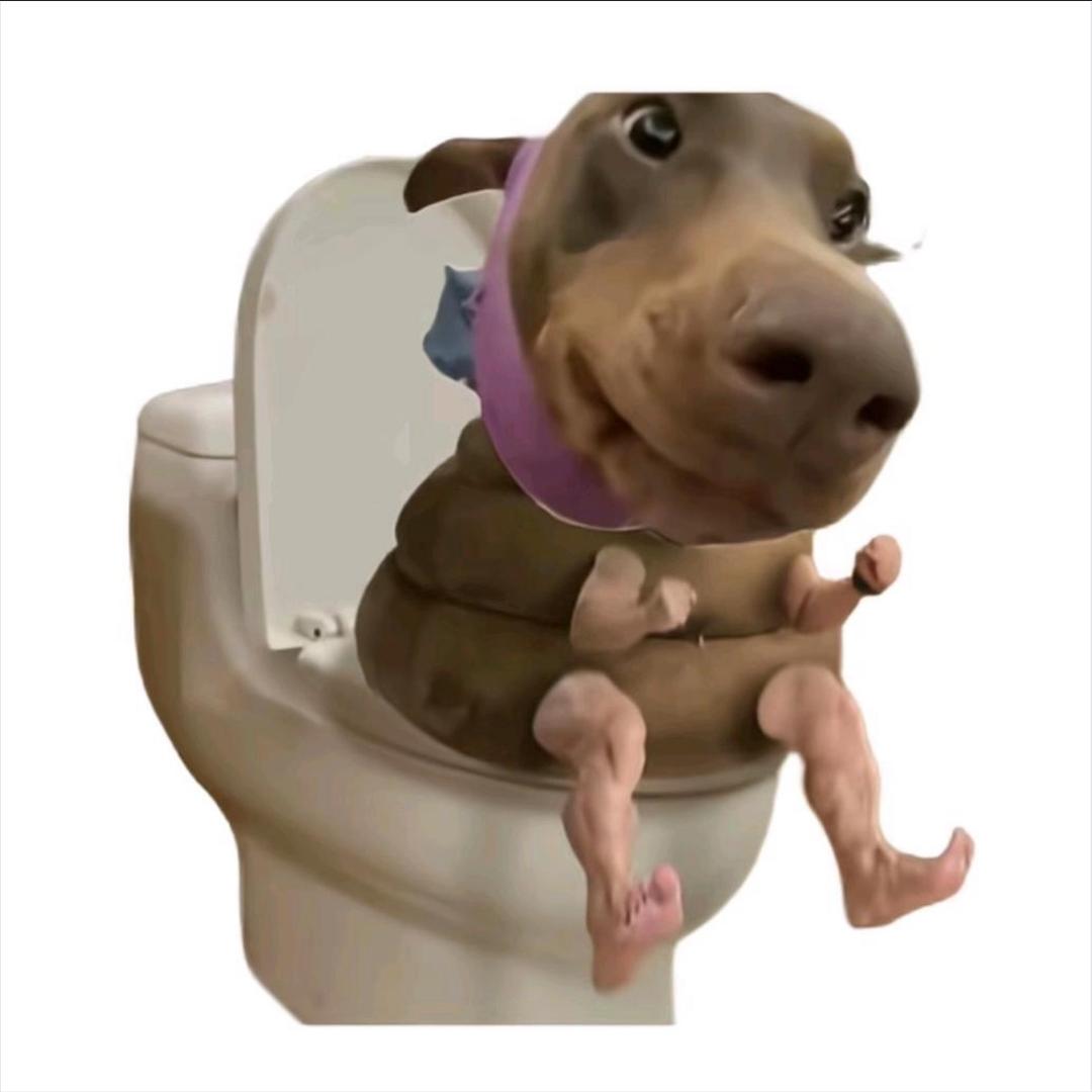🌸💦