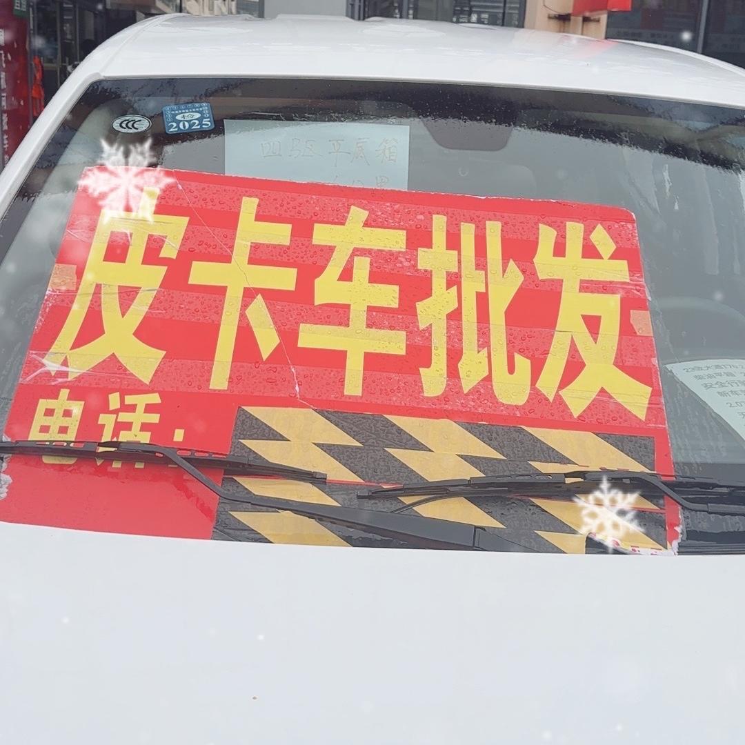 亏得惨二手车