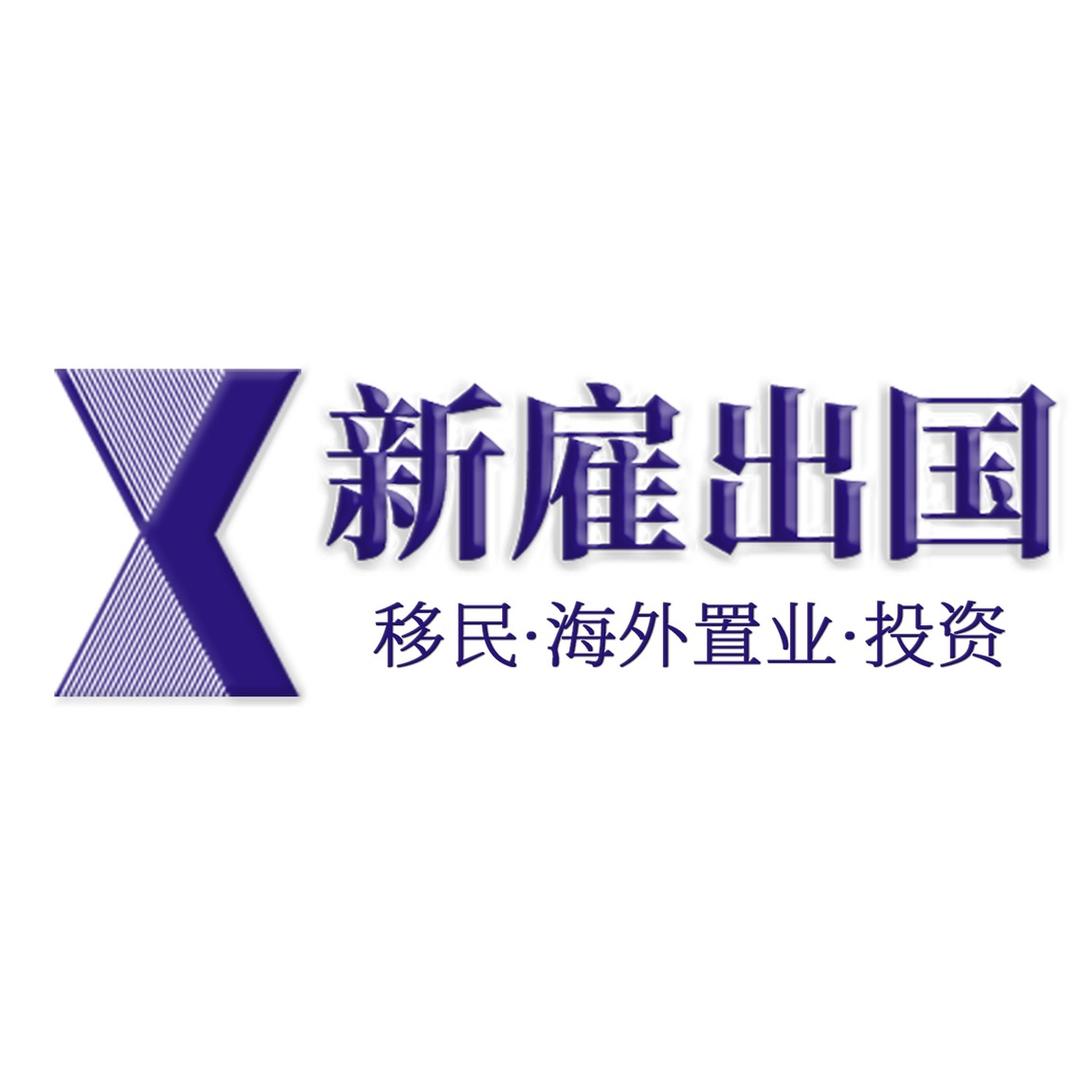 新加坡自雇智囊团