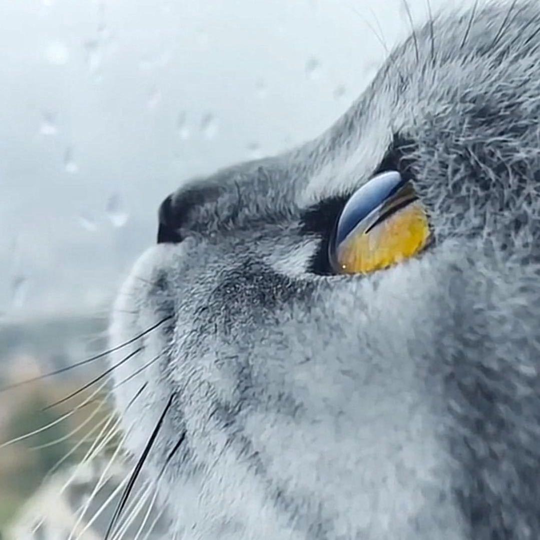 浮优潮玩