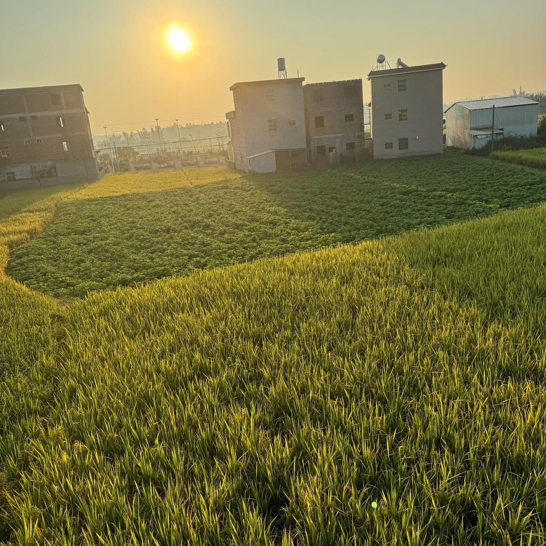老黄辉歌