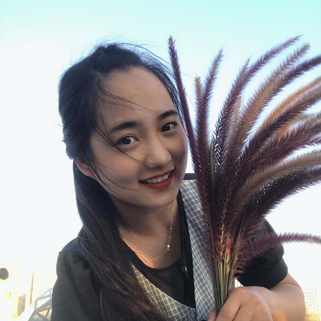 蔷薇草、