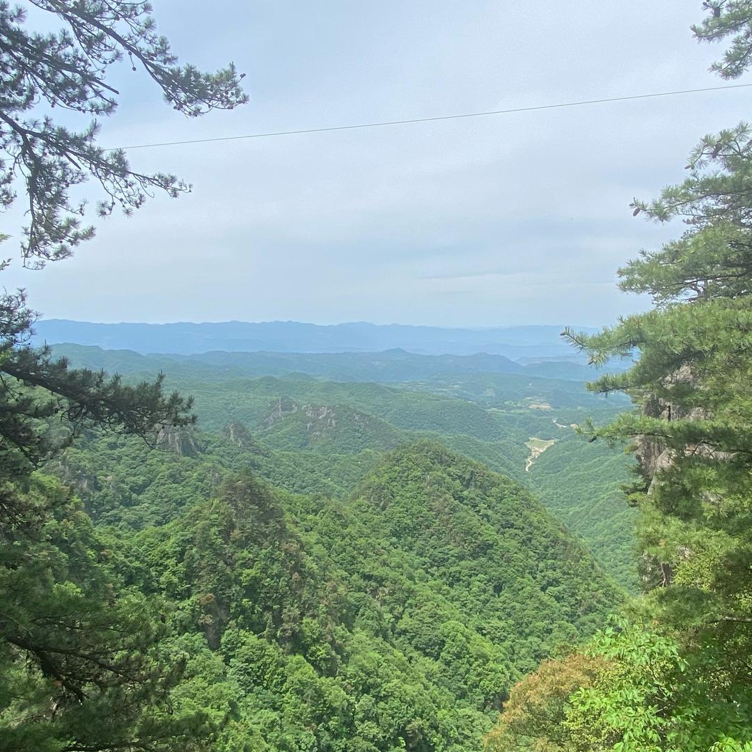 山野追风