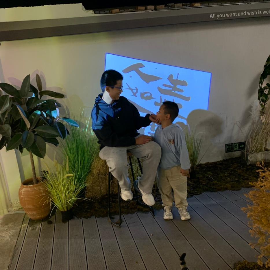 梧桐树