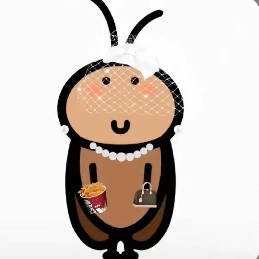 美丽大蟑螂🪳🪳