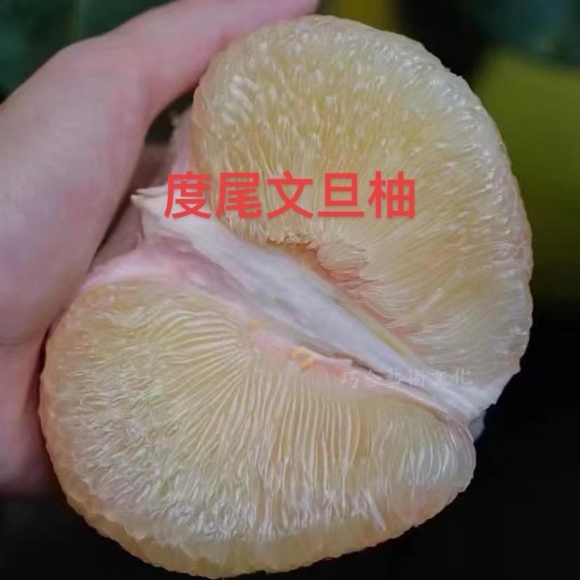 莆田四大名果专业果农