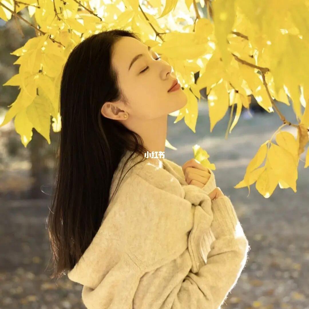 锦涵