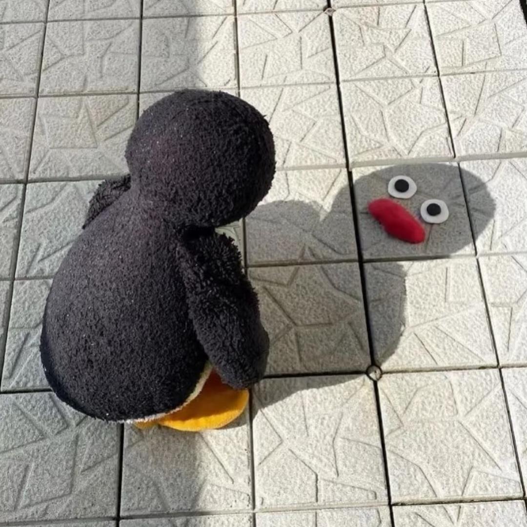 鲨鱼罐头🦈